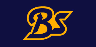 ��BS�ɤäƤΤϥХե���������û�̷��Ȥ������